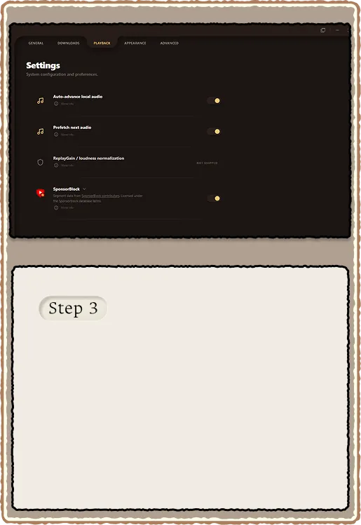 Playback controls
